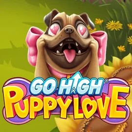 Play Go High Puppy Love slot by RubyPlay on boomzinoo.com
